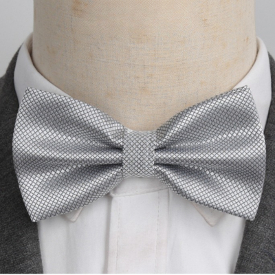 Noeud Papillon Gris