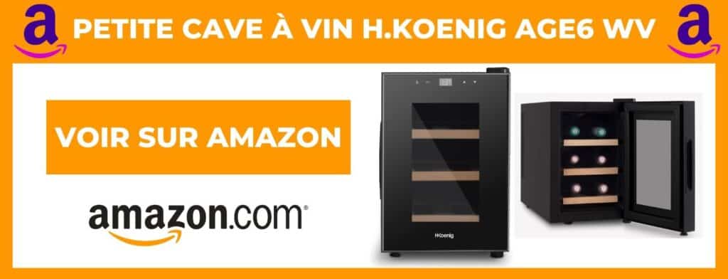 Quelle petite cave à vin choisir en 2024 ? Mini Cave à Vin H.Koening 6