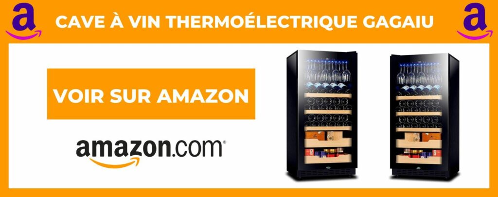 Thermoélectrique Gagaiu